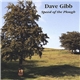 Dave Gibb - Speed of the Plough